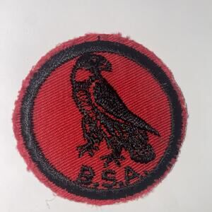 BSA Hawk Patrol Patch 2” Vintage 1960’s Preowned